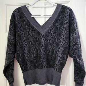 Express Deep V-Neck Sweater